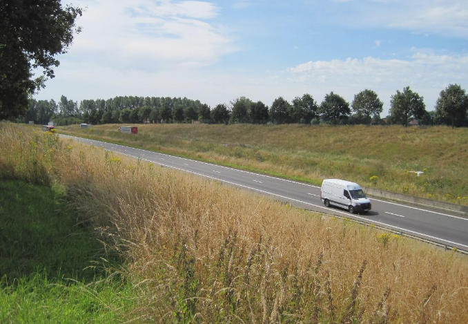 Looking SE Towards Gheluvelt