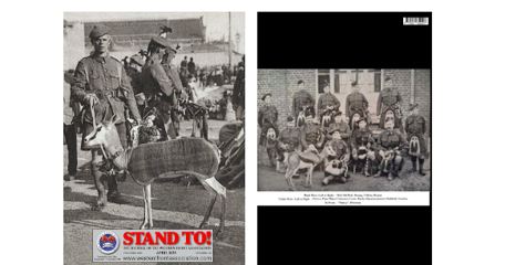 Screenshot 2023 05 02 At 073045 (1)