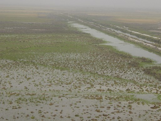 Marshlands Of Southern Iraq