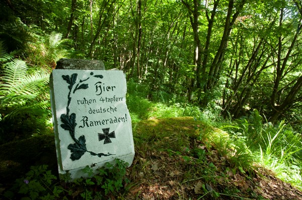 17 2014 11276 Vosges Hwk