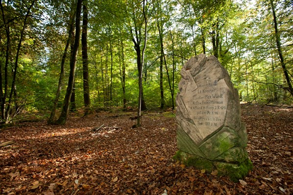 21 2014 11867 Argonne