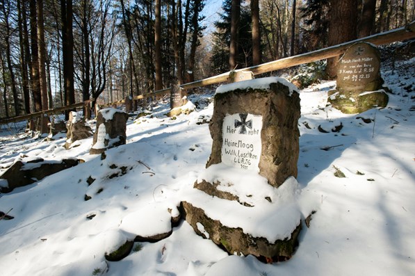 12 2014 13276 Vosges Hwk