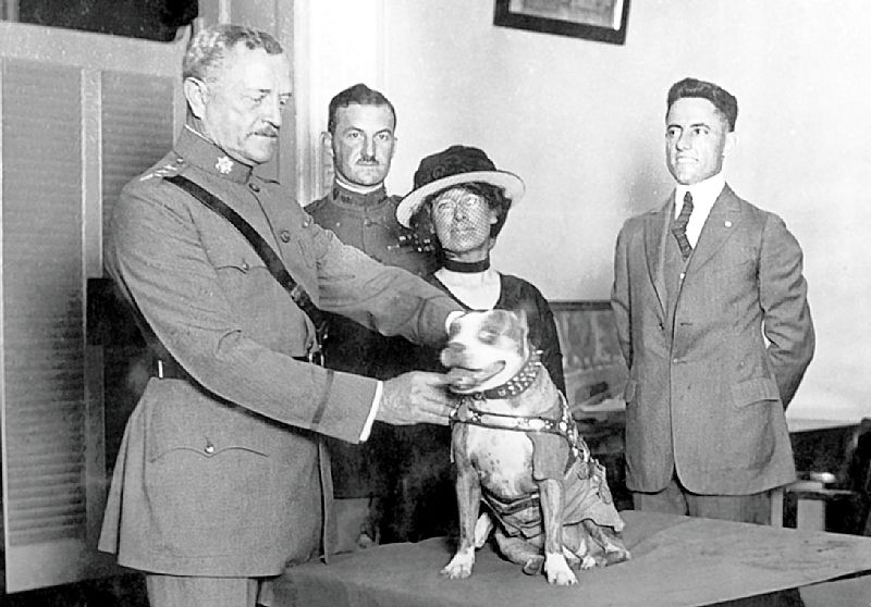 Stubby Being Decorated By General Pershing