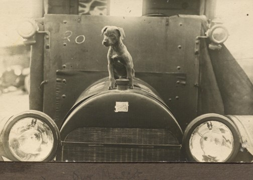 The Team Mascot, Perched On The Bonnet Of A Buick Ambulance