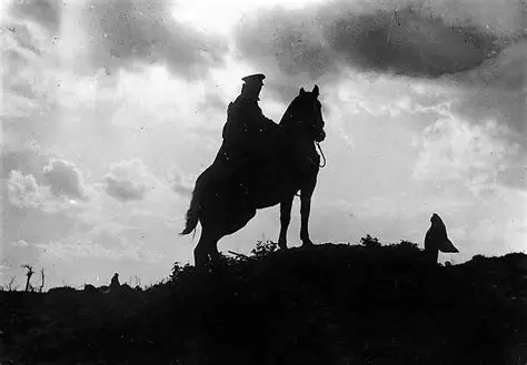 War Horse