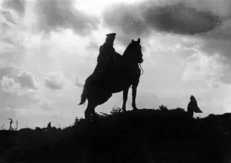 War Horse