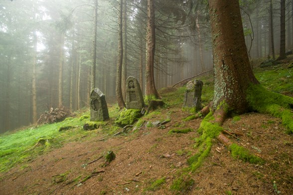 11 2014 00286 Vosges Tetefaux