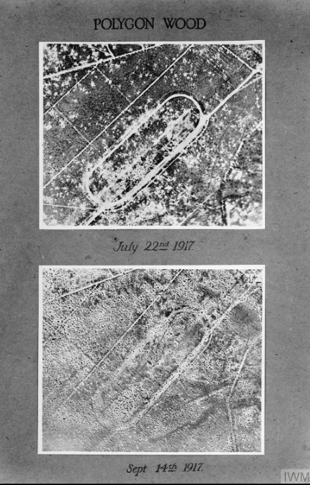 Air Photo. Polygon Wood. Sheet 28 J.9 Etc No. 10982