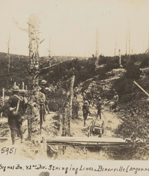 325 Field Signal Bn. 92Nd Div Stringing Lines. Binarville (Argonne) Oct 1, 1918.