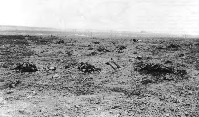 The Desert Like Battlefield Of Guillemont