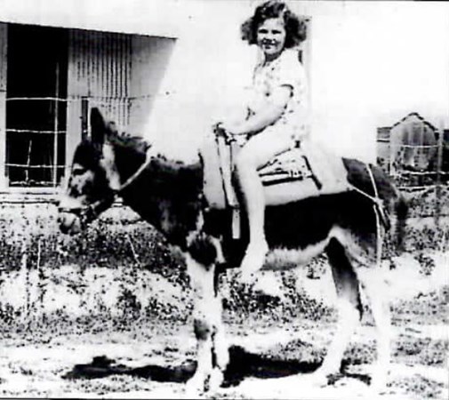 Jo Salmon, Aged Eight, On A Donkey At Gallipol
