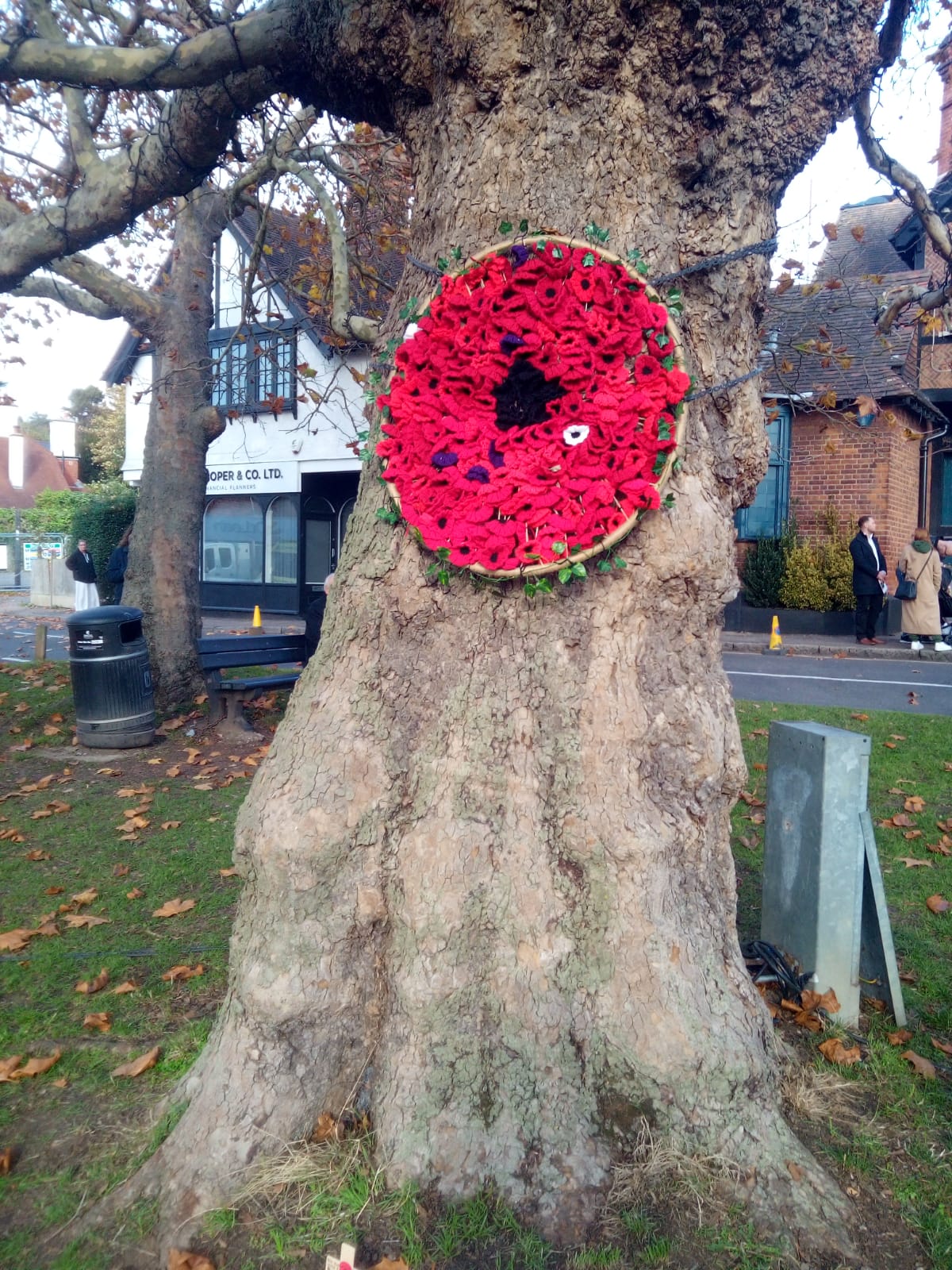 03 Unusual Wreath (2)