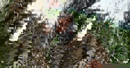 What Gives Men Grit Pennsylvania's 28Th Division