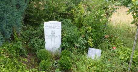 Albert Edwin Wheeler