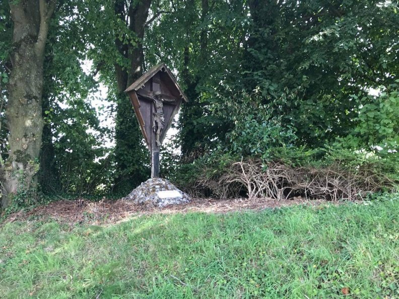 08 Beatrice At Memorial