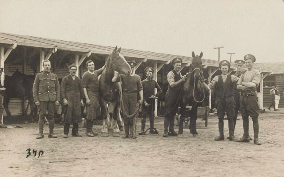 Stables of The Buffs (East Kent) Regiment, 1914. From a group of 59 postcards possibly associated with 2/5th Bn The Buffs (East Kent Regiment) transport, 1914-1918. [Image number: 125460] NAM. CC BY SA 4.0