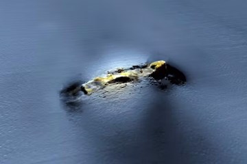 The wreck of HMS ‘Stephen Furness’: A century-old mystery solved