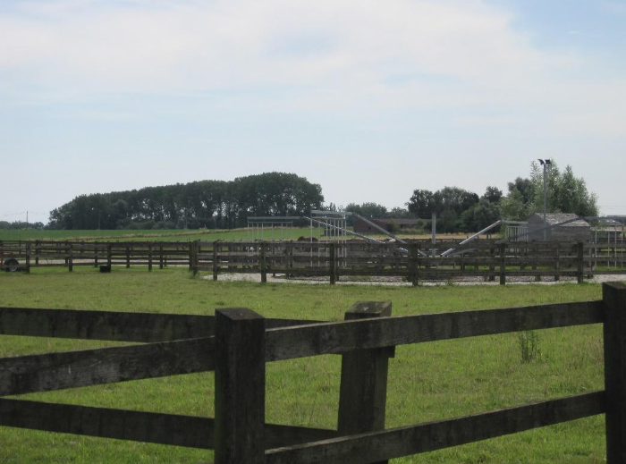 The Worcestershires Emerged From This Wood