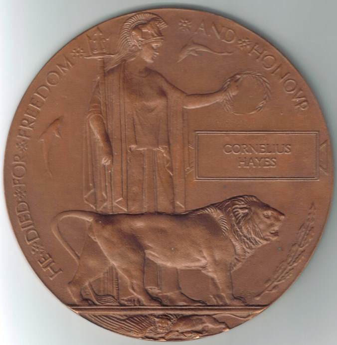 The 1914 18 Memorial Plaque (The 'Widow’S Or Dead Man’S Penny')