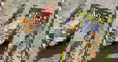 489660057 1953837398753861 543063391554987856 N