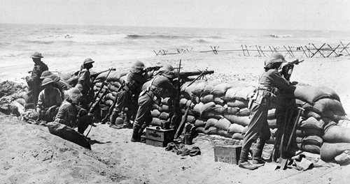 Harold Curtis Beals Egypt