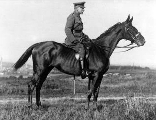 Haig Horse