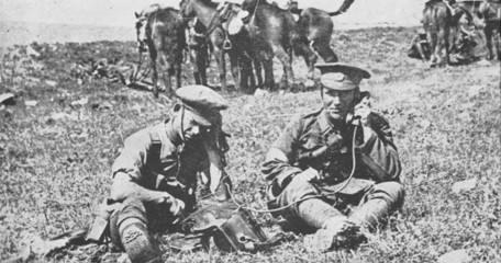 TCG 263 0009 768X494