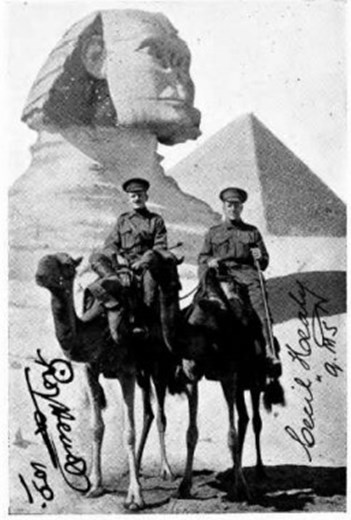 Healy in Egypt