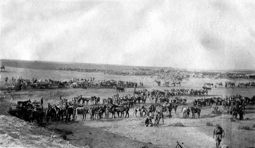 Regiment In Rest, Six Miles From Sidi Barrani