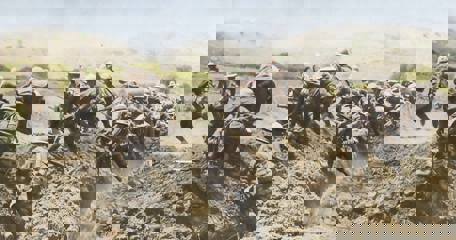 Gallipoli 1915 The Faded Vision