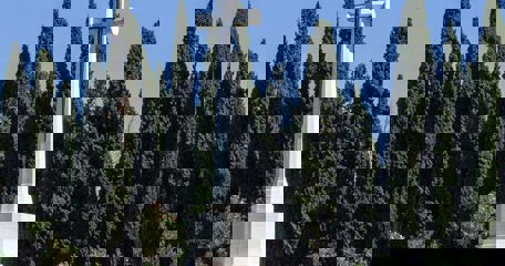 207 Scs 2024 2024 09 28 4758 Web