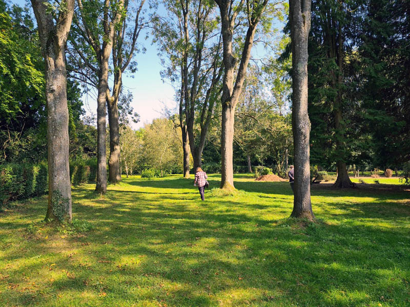 Whipsnade Tree Cathedral View