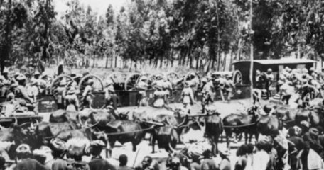 The Calcutta Volunteer Battery (1)