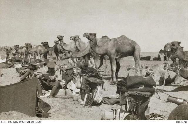 Soldiers And Their Camels