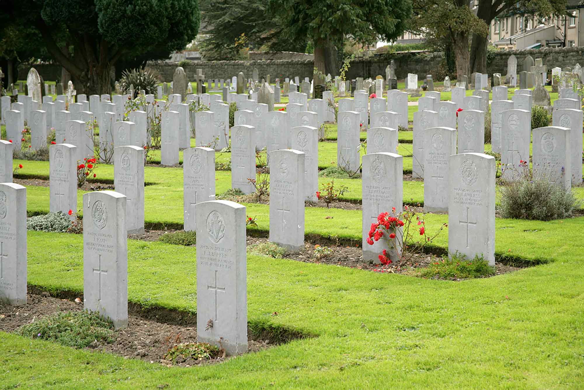 Grangegorman Cementary Line Of Graves