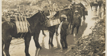 Horses In Ww1