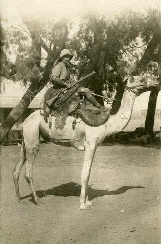 Soldier Ready For Patrol