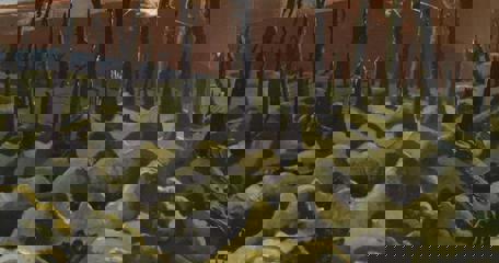 The Making Of A World War