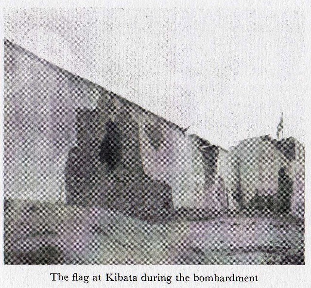 8134230435 Ffc52a20d3 Z