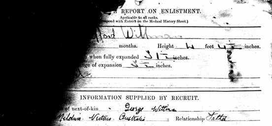 The Medical Report On Enlistment