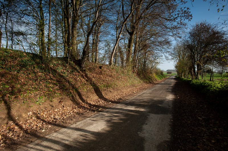 The Sunken Road At Gommecourt