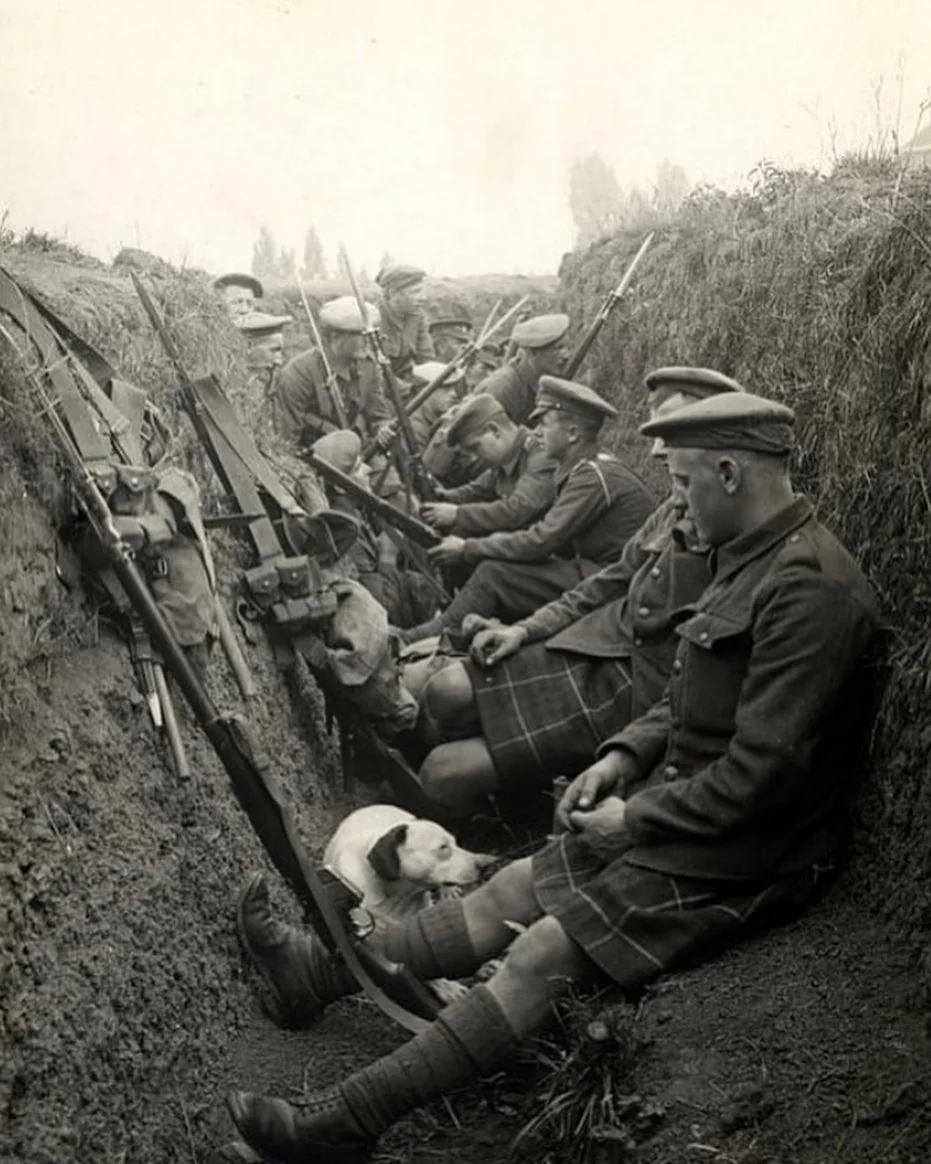 Men Of The Seaforth Highlanders In A Trench With A Dog In 1915