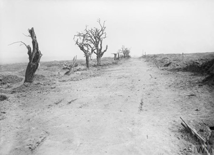 The Road Leading To Guillemont