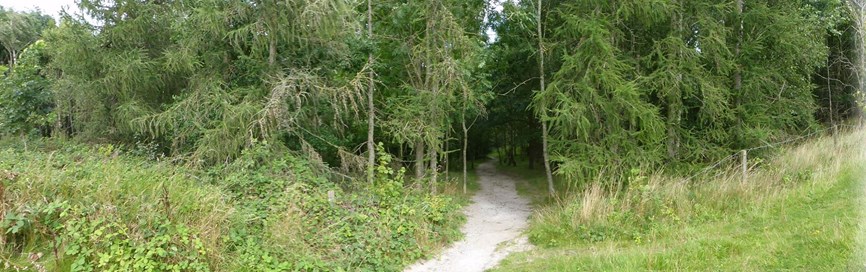 The Site Of The Factory At Low Moor