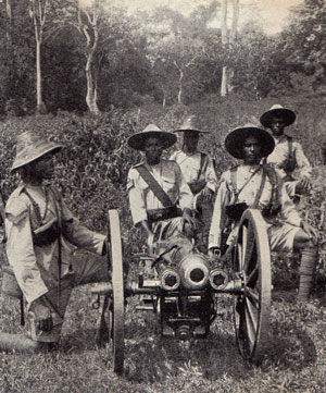 A Gold Coast Regiment