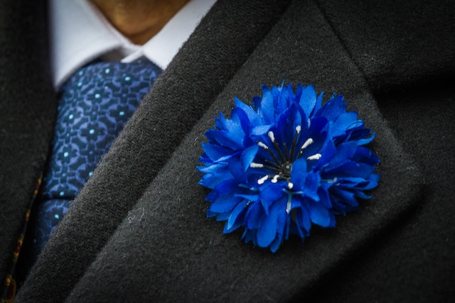 Bleuet De France Novembre 2013