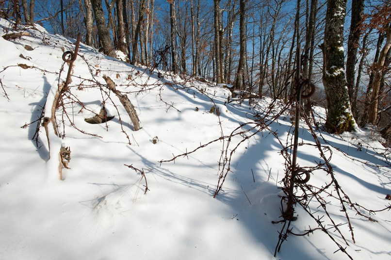 German Barbed Wire At Lower Rehfelsen