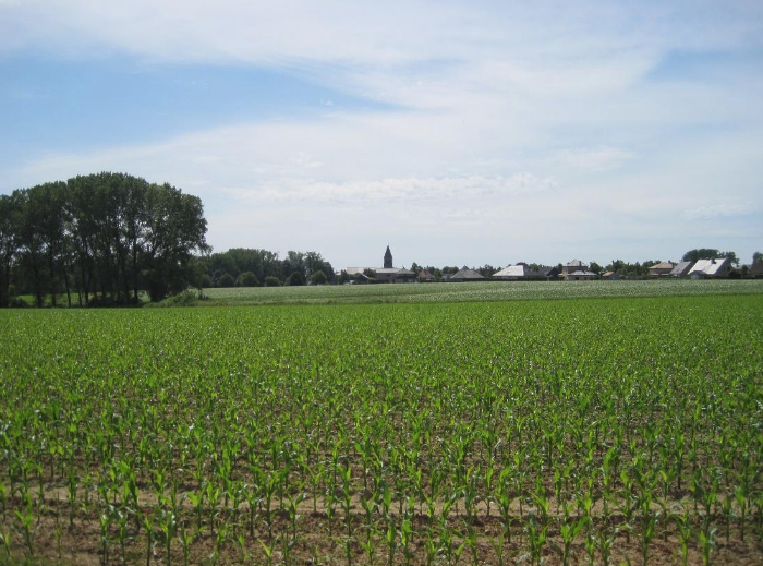 Worcestershires Would Have Had A Clear View Of Gheluvelt