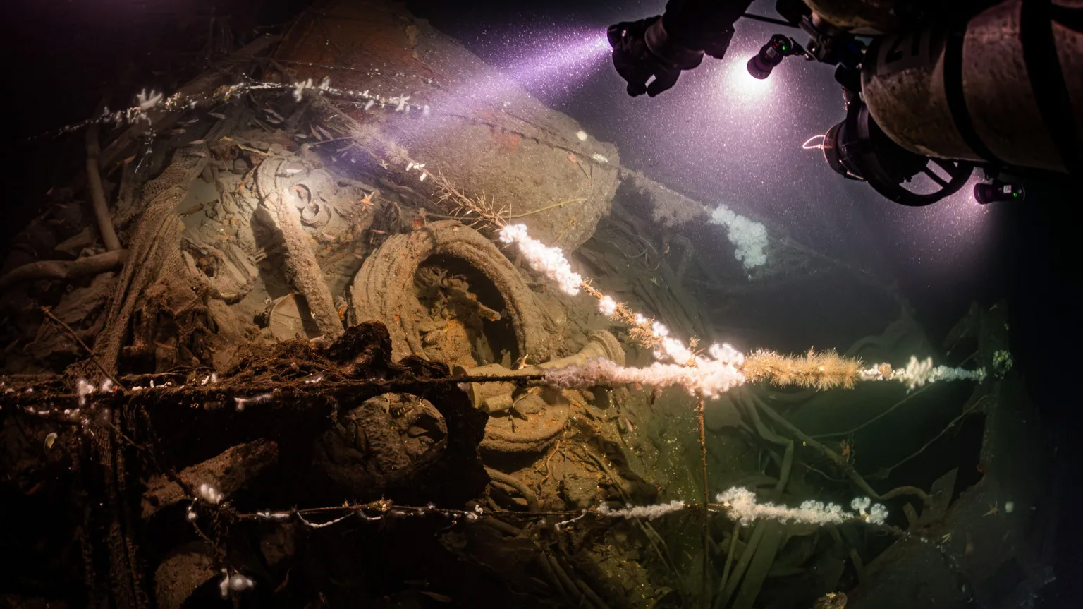 Aa17dd80 6646 11F0 B399 07Ad39de86f7.Jpg