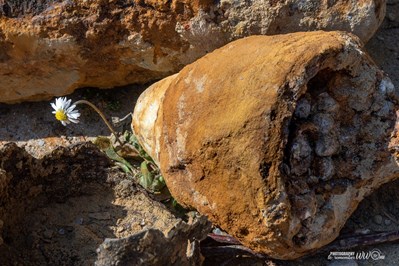 110126426 2611170772429014 8926526348279338847 O